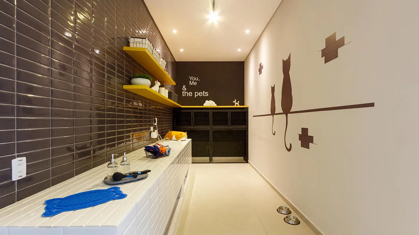 Nex One Sena Madureira — Pet Care